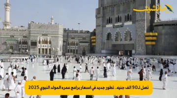 تصل لـ90 ألف جنيه.. تطور جديد في أسعار برامج عمرة المولد النبوي 2025